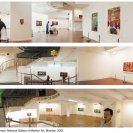 Installation shots of Peter Callas: anti-terrain. Asialink Touring Program, National Gallery of Modern Art, Mumbai, India, 2002.