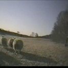 From A Sheep in Wolf's Clothing, via <a href=_http_/archive.dlux.org.au/index574d.html?page=artworks&amp;id=1217%22>d&#039;archive</a>