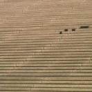 Opera House Steps December, Jess MacNeil, 2006, 