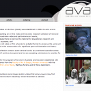 The Australian Video Art Archive (AVAA)