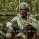 Malangi: A day in the life of a bark painter, Michael Riley, 1991 