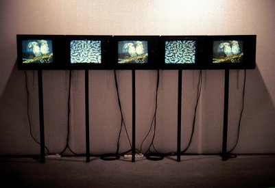 Installation shot of Night's High Noon, In Transit, Chisenhale Gallery, London, 1989.