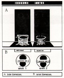 Catalogue image for Jill Scott's Double Time from the Perspecta '85 catalogue