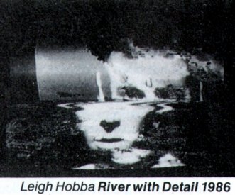 Catalogue image from Leigh Hobba's River with Detail (1986) installed at the Art Gallery of NSW.