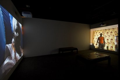 James Newitt, Altered State, 2006, Installation view, 2008 Adelaide Biennial of Australian Art