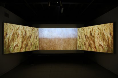 Scott Morrison, This is a Transmission, Screenspace, Installation View, 2011.jpg