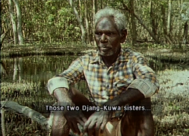 Malangi: A day in the life of a bark painter, Michael Riley, 1991 