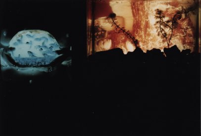 Julie Vulcan, Shadow Spin, 1989