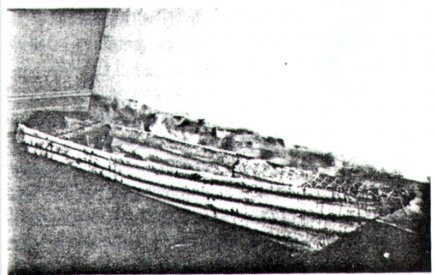 vizents_canoe_avf87_800h.jpg